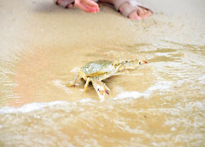 Sheraton Samui Resort Chaweng 